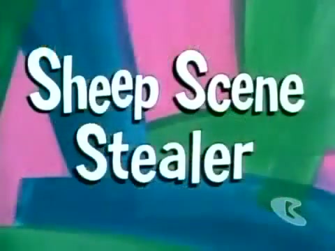 Sheep Scene Stealer