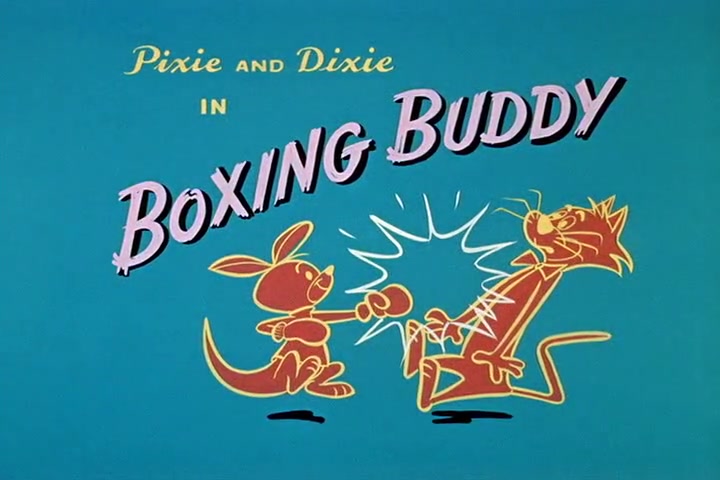 Boxing Buddy
