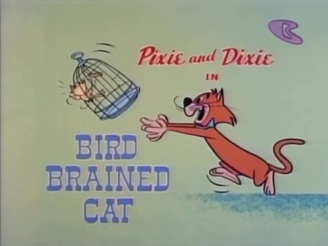 Bird Brained Cat