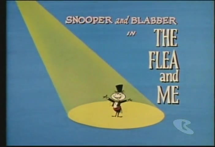 The Flea and Me