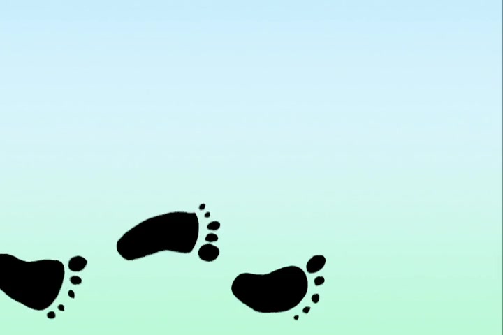 Don't Be a Carbon Sasquatch